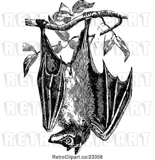 Vector Clip Art of Retro Wild Bat Hanging from a Tree