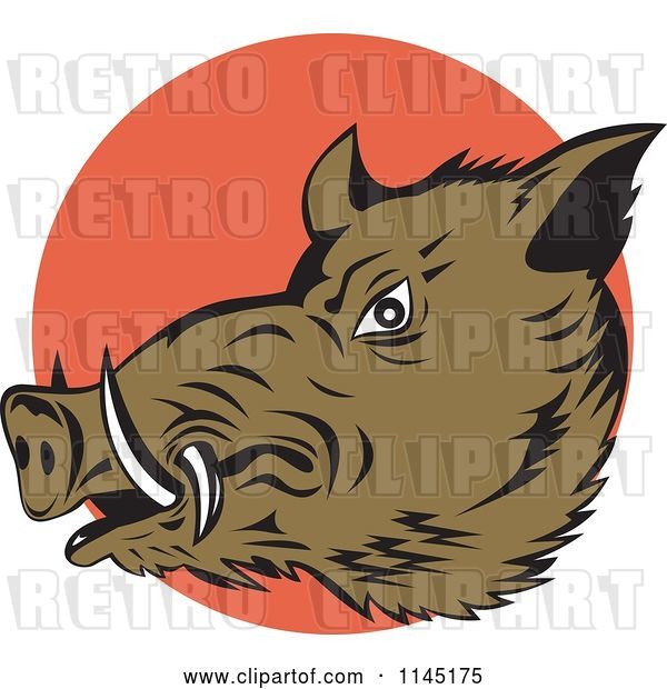 Vector Clip Art of Retro Wild Boar Pig Head over an Orange Circle