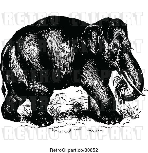 Vector Clip Art of Retro Wild Elephant