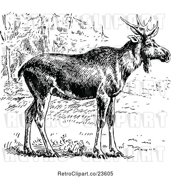 Vector Clip Art of Retro Wild Elk