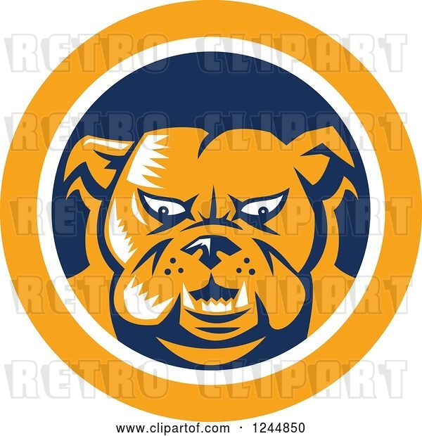 Vector Clip Art of Retro Woodcut Angry Bulldog in a Blue and Yellow Circle