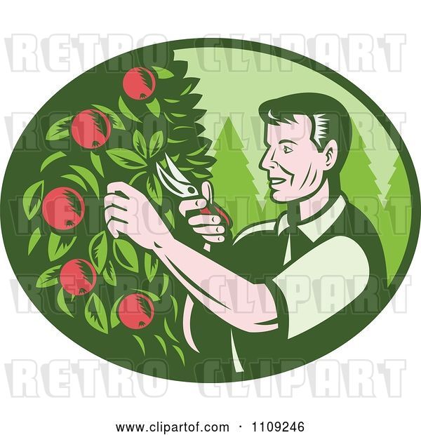 Vector Clip Art of Retro Woodcut Farmer Pruning Apple Trees in an Orchard