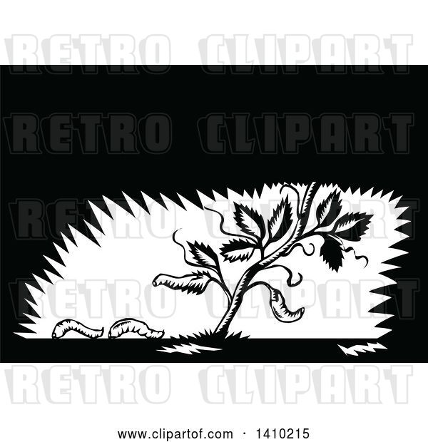 Vector Clip Art of Retro Woodcut Plant with Fallen Leaves Turning into Maggots
