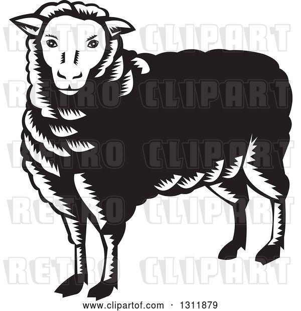 Vector Clip Art of Retro Woodcut Sheep