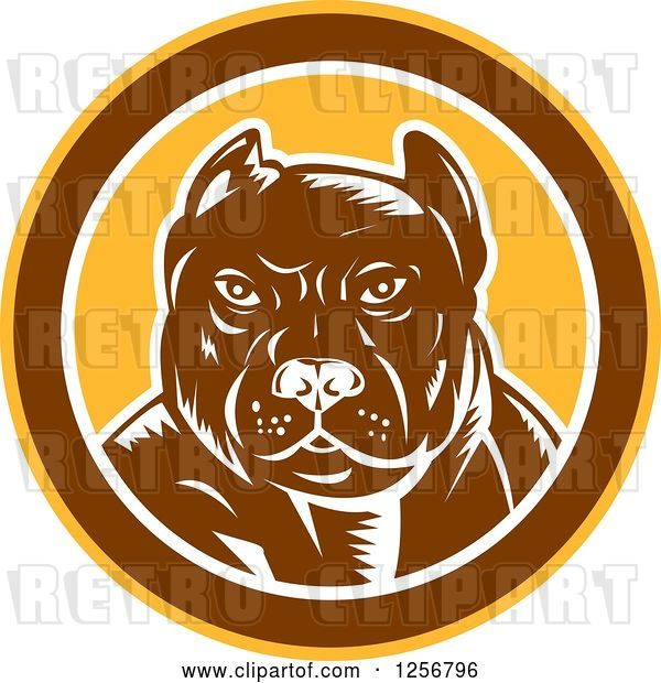 Vector Clip Art of Retro Woodcut Tough Pitbull Guard Dog in a Yellow Brown and White Circle