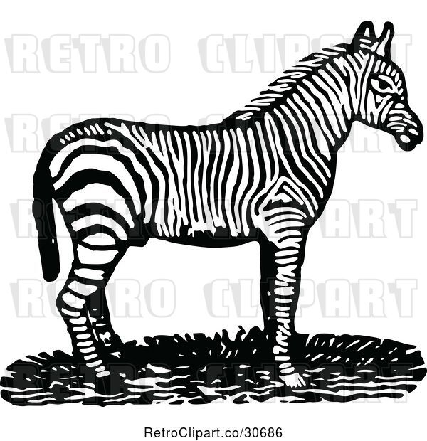 Vector Clip Art of Retro Zebra in Profile