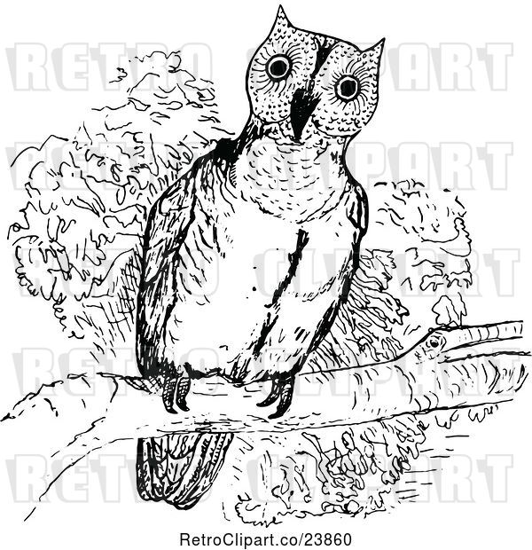 Vector Clip Art of Sketched Perched Owl