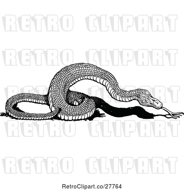 Vector Clip Art of Snake