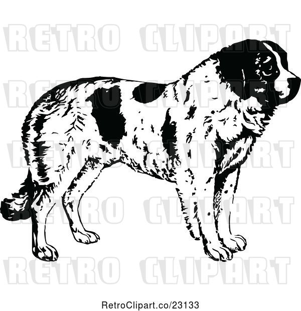 Vector Clip Art of St Bernard Dog in Profile