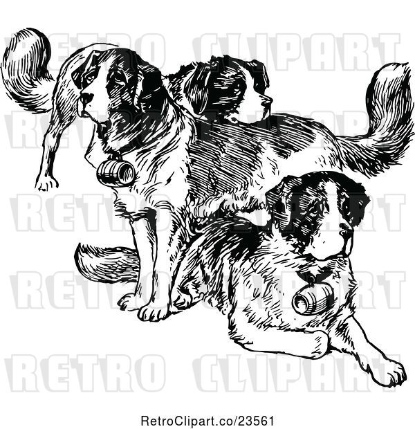 Vector Clip Art of St Bernard Dogs