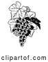 Vector Clip Art of a Fresh Retro Bunch of Grapes on a Vine with Leaves in Black and White by AtStockIllustration