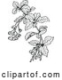 Vector Clip Art of a Retro Barberry Branch - Black and White by Prawny Vintage