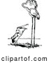 Vector Clip Art of a Retro Pelican and Flamingo by Prawny Vintage