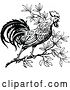 Vector Clip Art of Crowing Rooster in a Tree by Prawny Vintage