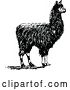 Vector Clip Art of Retro Alpaca by Prawny Vintage