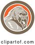 Vector Clip Art of Retro Angry Gorilla Screaming in a Brown White and Orange Circle by Patrimonio