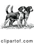 Vector Clip Art of Retro Beagle Puppies by Prawny Vintage