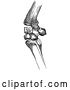 Vector Clip Art of Retro Bones of a Flexed Horse Knee in by Picsburg