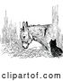 Vector Clip Art of Retro Cat and Donkey by Prawny Vintage