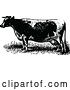Vector Clip Art of Retro Cow 1 by Prawny Vintage
