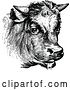 Vector Clip Art of Retro Cow Portrait 1 by Prawny Vintage