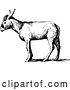 Vector Clip Art of Retro Donkey in Profile by Prawny Vintage
