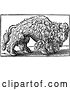 Vector Clip Art of Retro Engraved Buffalo by JVPD