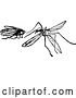 Vector Clip Art of Retro Fly and Mosquito by Prawny Vintage