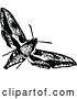 Vector Clip Art of Retro Flying Moth by Prawny Vintage