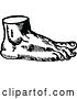 Vector Clip Art of Retro Foot by Prawny Vintage