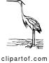 Vector Clip Art of Retro Heron Bird by Prawny Vintage