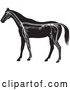 Vector Clip Art of Retro Horse Anatomy of the Nervous System in Black and White by Picsburg
