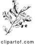Vector Clip Art of Retro Oak Branch with Acorns 2 by Prawny Vintage