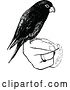 Vector Clip Art of Retro Parrot Perched on a Hand by Prawny Vintage