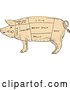 Vector Clip Art of Retro Pig Profile Showing Cuts of Meat, in Drawing Sketch Style by Patrimonio