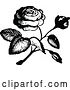 Vector Clip Art of Retro Rose 2 by Prawny Vintage