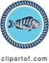 Vector Clip Art of Retro Sheepshead Fish over Blue, in a Frame of Rope by Patrimonio