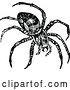 Vector Clip Art of Retro Spider by Prawny Vintage