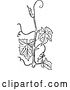 Vector Clip Art of Retro Vine Branch by Prawny Vintage