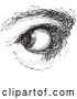 Vector Clip Art of Retro Watchful Eye in Black and White by Picsburg