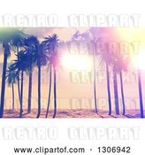 Clip Art of Retro 3d Designed Sunset Sky and Sunshine Through Palm Trees on a Tropical Beach by KJ Pargeter
