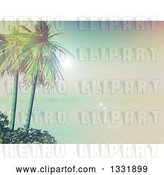Clip Art of Retro 3d Tropical Island with Palm Trees and Shrubs, a Still Foggy Bay and Mountains by KJ Pargeter