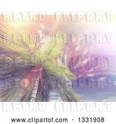 Clip Art of Retro 3d View Looking up at a Tropical Palm Tree Against Sky with Wispy Clouds and Flares by KJ Pargeter