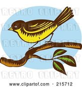 Clip Art of Retro New Zealand Fantail Bird (Rhipidura Fuliginosa) Perched on a Branch by Patrimonio