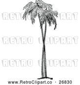 Clipart of Retro Palm Trees by Prawny Vintage
