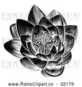 Vector Clip Art of a Retro Black Blooming Waterlily Lotus Flower by AtStockIllustration
