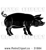 Vector Clip Art of a Retro Black Pig in Profile by AtStockIllustration
