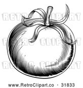 Vector Clip Art of a Retro Black Tomato by AtStockIllustration