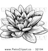Vector Clip Art of a Retro Blooming Waterlily Lotus Flower by AtStockIllustration