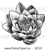 Vector Clip Art of a Retro Blooming Waterlily Lotus Flower in Black Lineart by AtStockIllustration